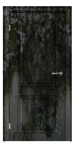 Door 1